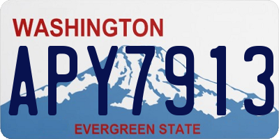 WA license plate APY7913
