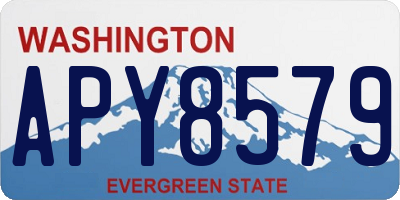 WA license plate APY8579
