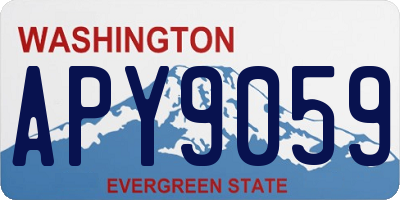 WA license plate APY9059