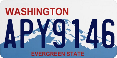 WA license plate APY9146