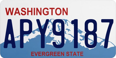 WA license plate APY9187