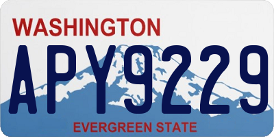 WA license plate APY9229