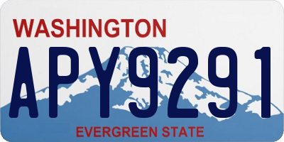 WA license plate APY9291