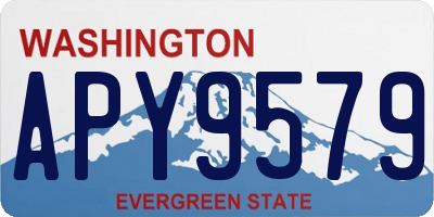 WA license plate APY9579