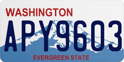 WA license plate APY9603