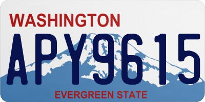 WA license plate APY9615