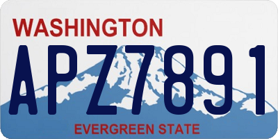 WA license plate APZ7891