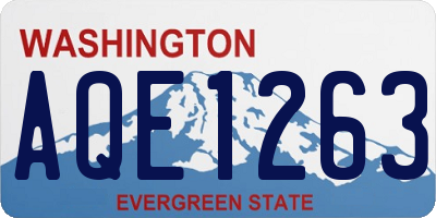 WA license plate AQE1263