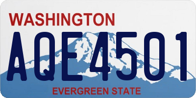 WA license plate AQE4501