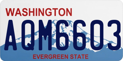 WA license plate AQM6603