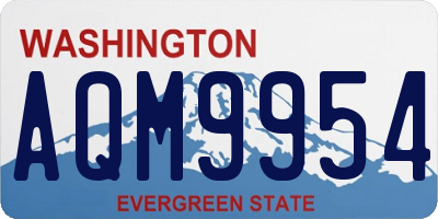 WA license plate AQM9954