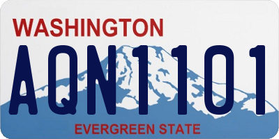 WA license plate AQN1101