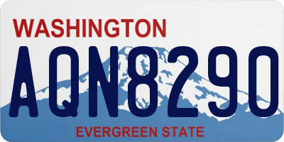 WA license plate AQN8290