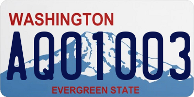 WA license plate AQO1003