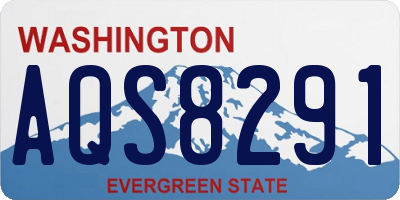 WA license plate AQS8291