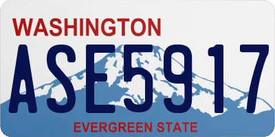 WA license plate ASE5917