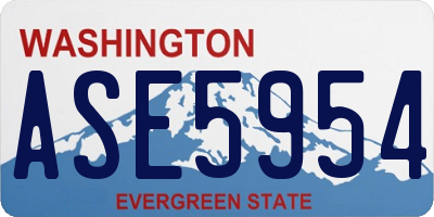 WA license plate ASE5954