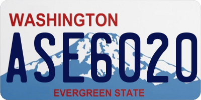 WA license plate ASE6020
