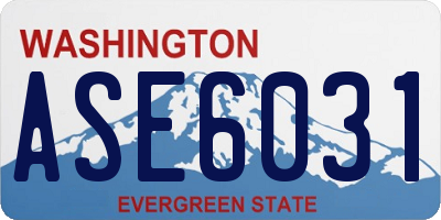 WA license plate ASE6031