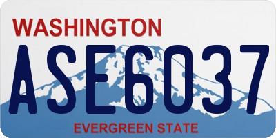 WA license plate ASE6037