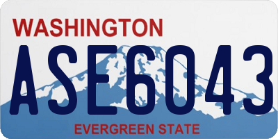 WA license plate ASE6043