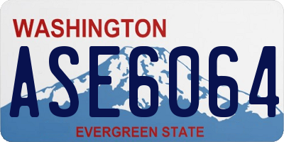 WA license plate ASE6064