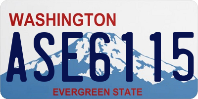 WA license plate ASE6115