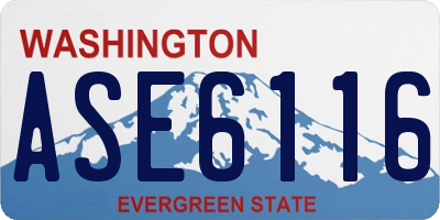 WA license plate ASE6116