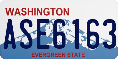 WA license plate ASE6163