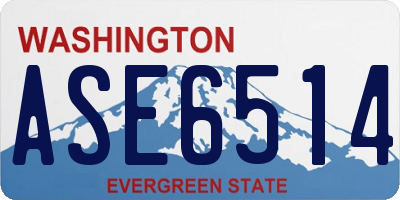 WA license plate ASE6514
