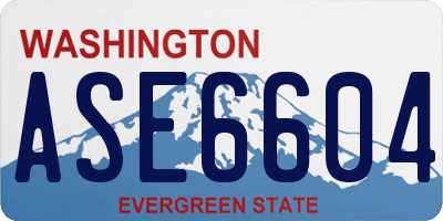 WA license plate ASE6604
