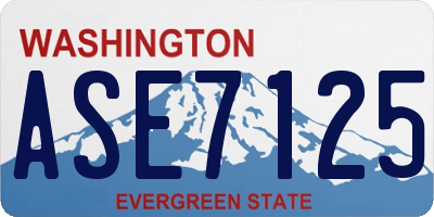 WA license plate ASE7125