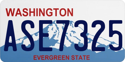 WA license plate ASE7325