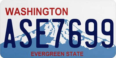 WA license plate ASE7699
