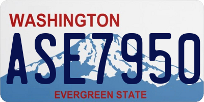 WA license plate ASE7950