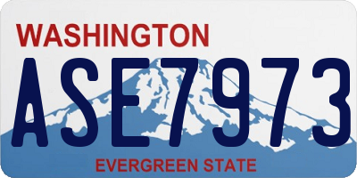 WA license plate ASE7973
