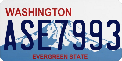 WA license plate ASE7993