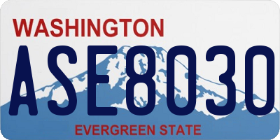 WA license plate ASE8030