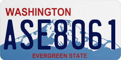 WA license plate ASE8061