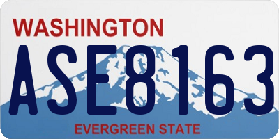 WA license plate ASE8163