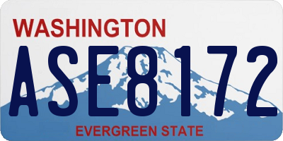 WA license plate ASE8172