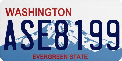 WA license plate ASE8199