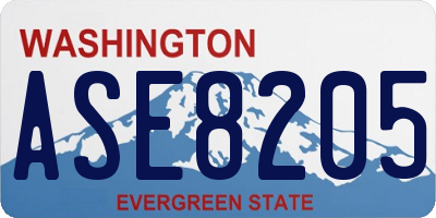 WA license plate ASE8205