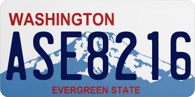 WA license plate ASE8216