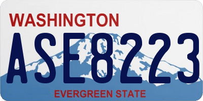 WA license plate ASE8223