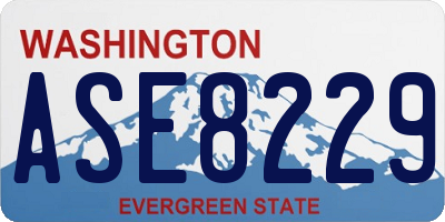 WA license plate ASE8229