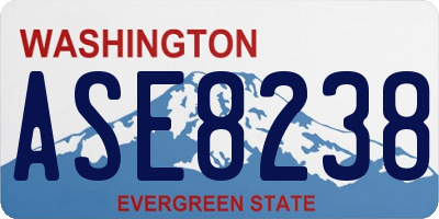 WA license plate ASE8238