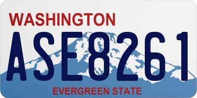 WA license plate ASE8261