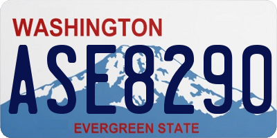 WA license plate ASE8290
