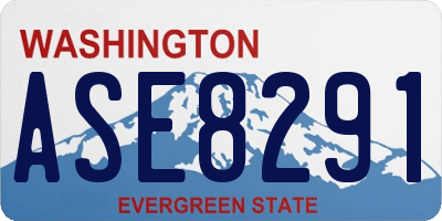 WA license plate ASE8291